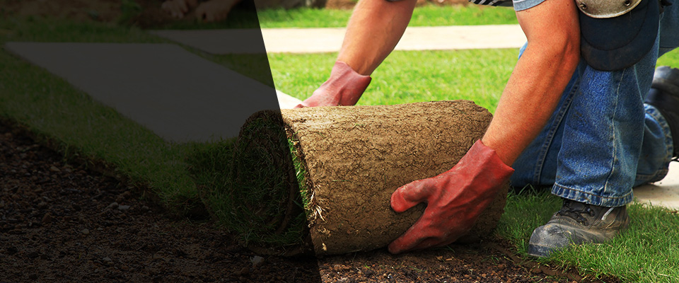 Rhode Island Landscapers